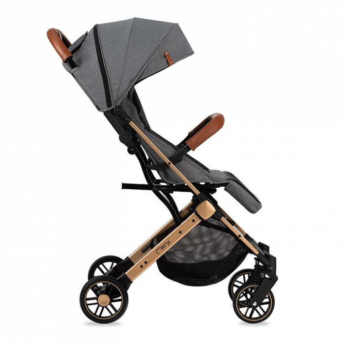 Carucior Sport Estelle, Momi, Gold Grey [3]