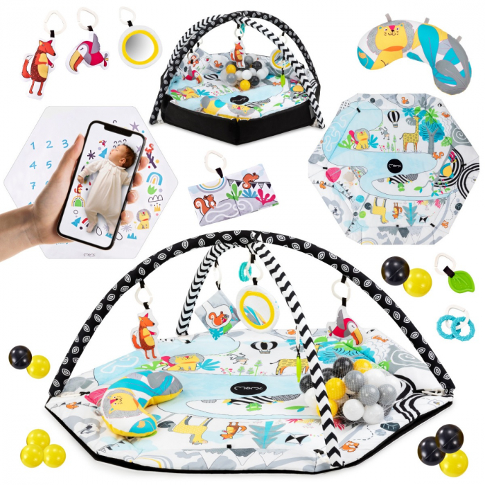 Centru de activitati, Momi, Doublefun [3]