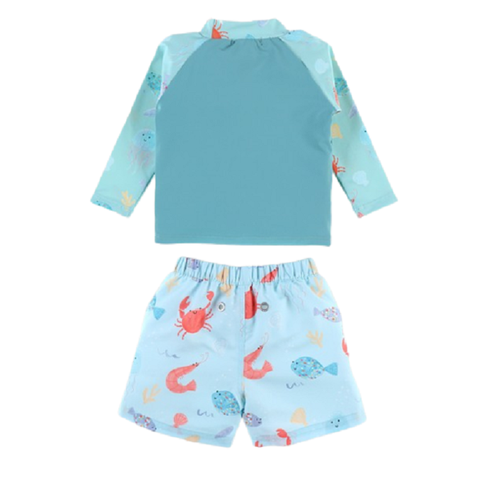 CREVETTES BLEUES SET UV, Archimede, 2 ani, A212371 [2]