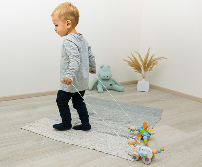 Jucarie multifunctionala Unicornul Plimbaret [3]