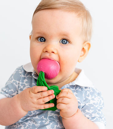 Ridichea Ramona, jucarie pentru dentitie [2]