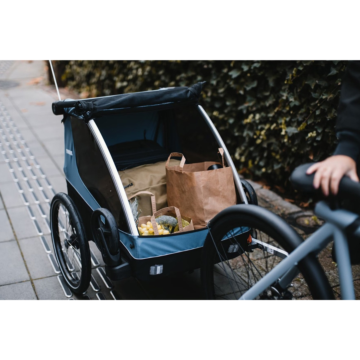 Remorca de bicicleta pentru transport copii, Thule, Courier, Aegean Blue, 2 locuri [4]