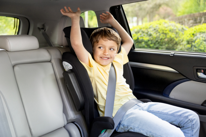 scaun-auto-joie-3-ani-cerificat-de-siguranta [8]