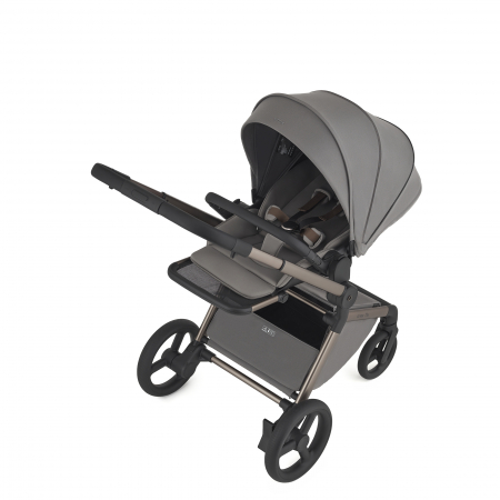 Cărucior multifuncțional Anex Flo - Charm [2]