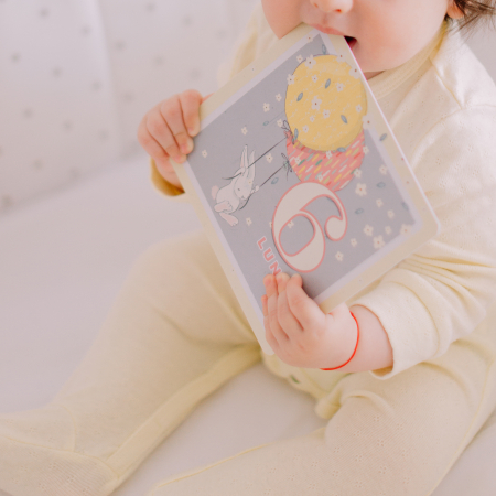 Cadouri baby shower - Cartonase pentru primele 12 luni din viata bebelusului