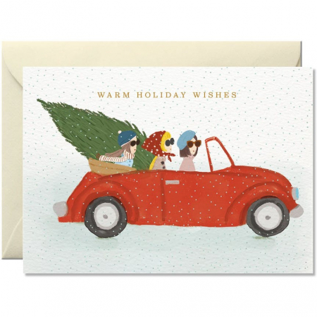 ANIVERSARI/BOTEZ - Felicitare ''Christmas letter''