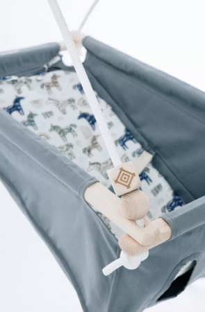 leagan nou nascuti incababy 2 [1]