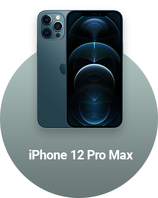 Huse iPhone 12 Pro Max