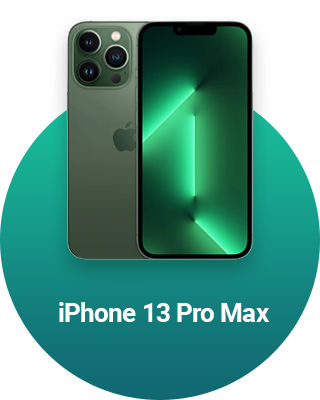 Huse iPhone 13 Pro Max