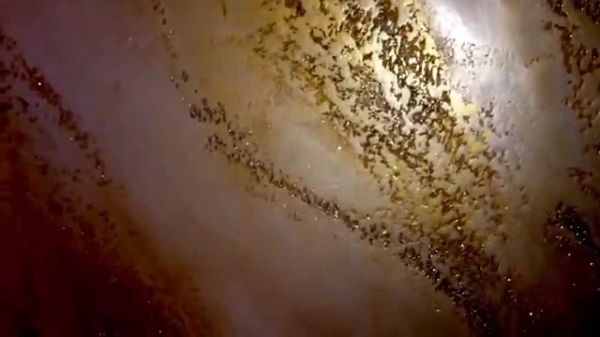 Segui il tuo ISTINTO [7]