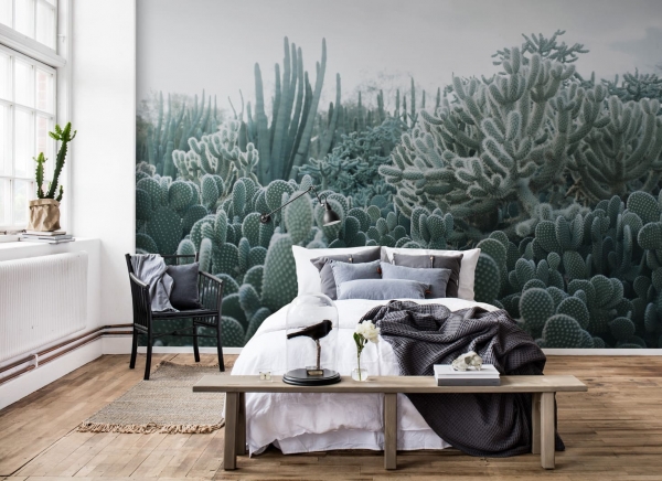Tapet R15611 Cacti [3]