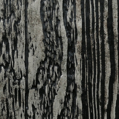 Panou decorativ 14806 WOOD Holz Dakota culoare negru [1]