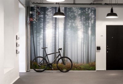 Tapet R15201- Forest Glade [1]