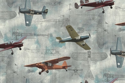 RebelWalls - Tapet R15211- Aero Show