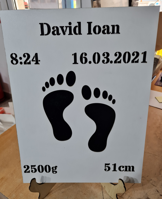 Placa baza licheni nastere 40x30 cm [1]