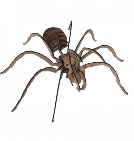 Puzzle 3D Tarantula [2]