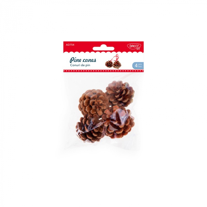 Accesorii craft - AD754 Conuri de pin [1]