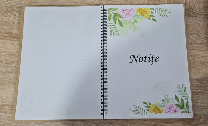 Agenda invatatorului M1 [5]