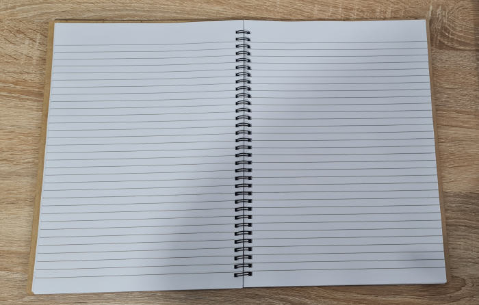 Agenda invatatorului M1 [6]