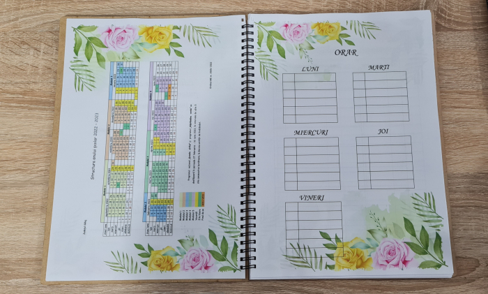 Agenda invatatorului M1 [3]