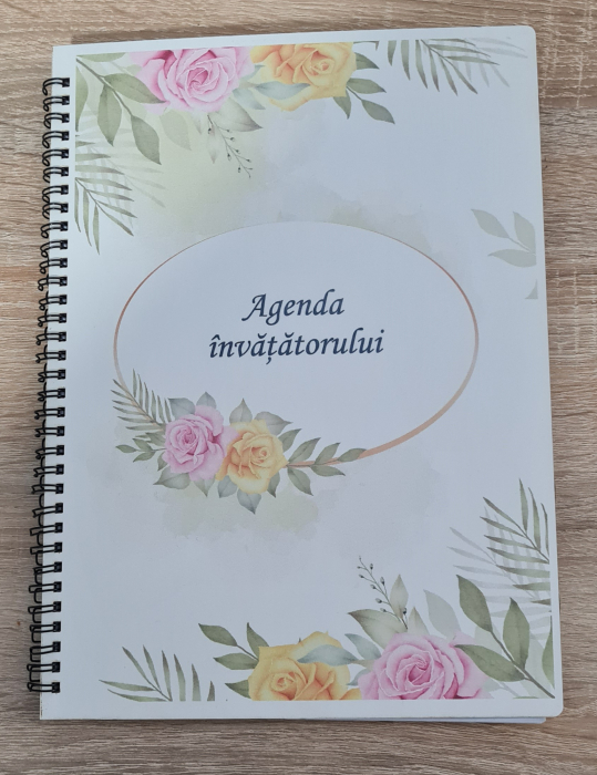 Agenda invatatorului M1 [1]