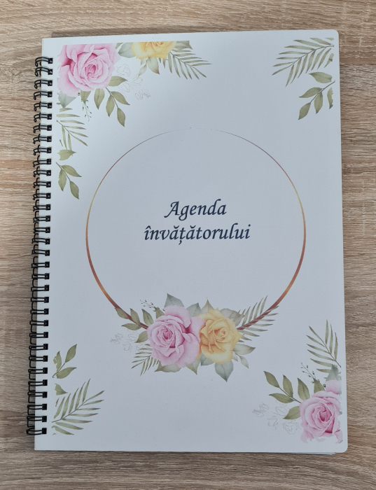 Agenda invatatorului M2 [1]