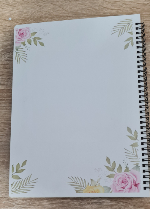 Agenda invatatorului M2 [7]