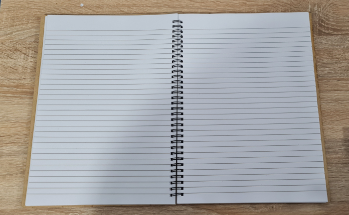 Agenda invatatorului M2 [6]