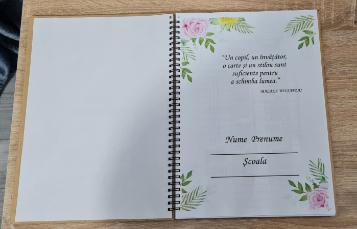 Agenda invatatorului M2 [2]