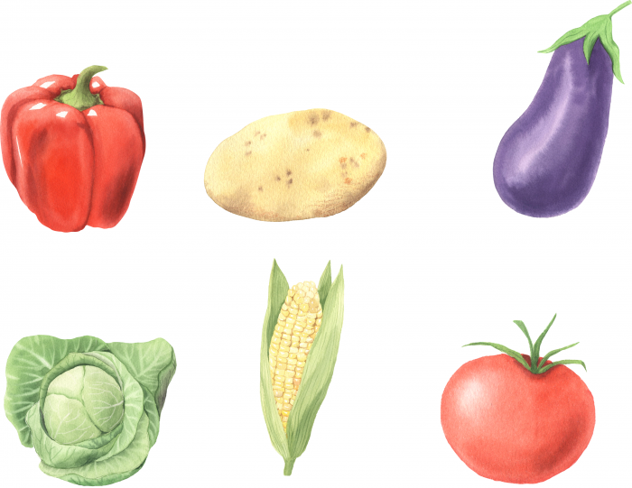 Decoratiuni Creative dc023 Legume color [1]