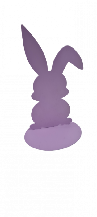 Iepure pe talpa mdf color [4]
