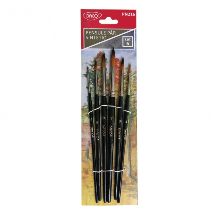 Pensule păr sintetic PN216 rotund Set 6 DACO [1]