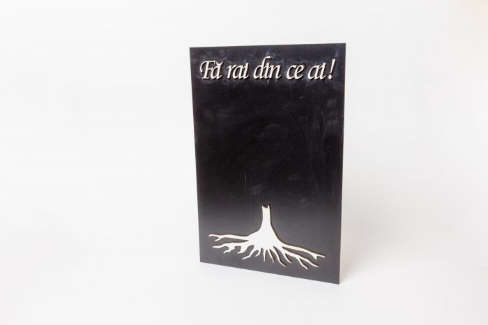 Placa Baza licheni Fa rai din ce ai ! 20x30 cm [2]