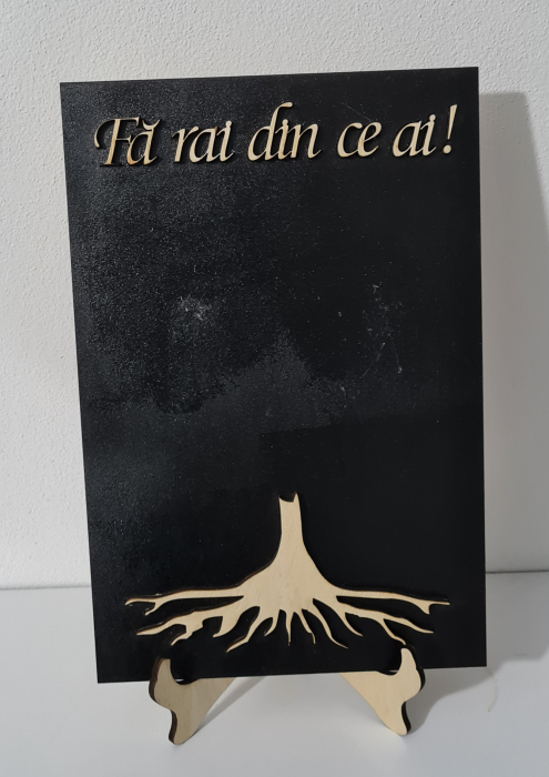 Placa Baza licheni Fa rai din ce ai ! 40x50 cm [3]
