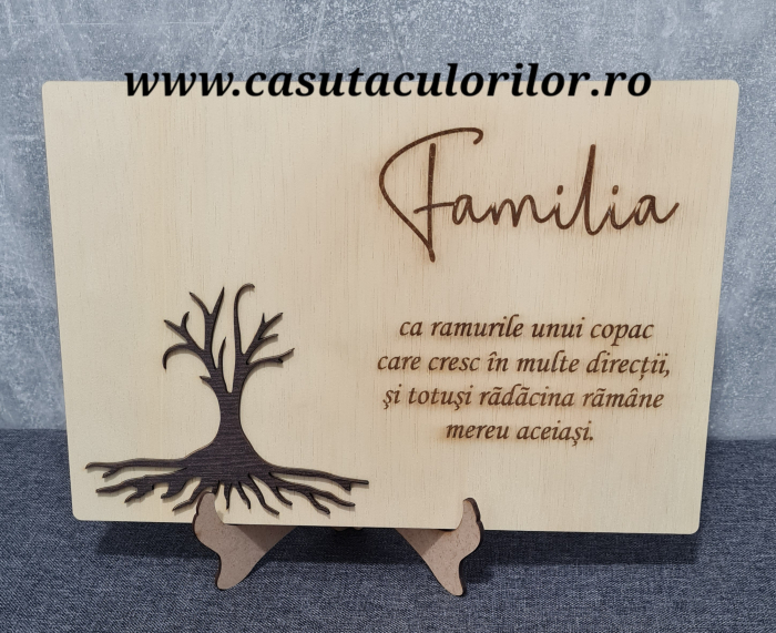 Placa licheni familia [3]
