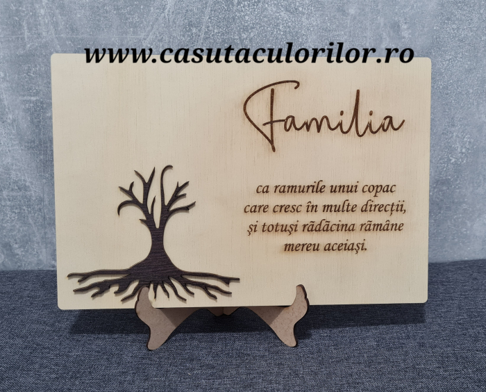 Placa licheni familia [2]