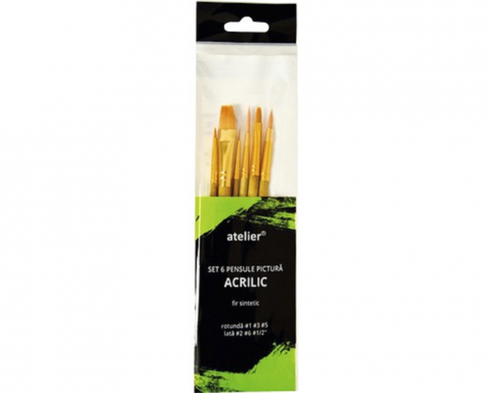 Set 6 pensule Pictura Acrilic fir sintetic AT20030 [1]