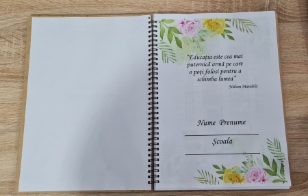 Agenda invatatorului M1 [1]