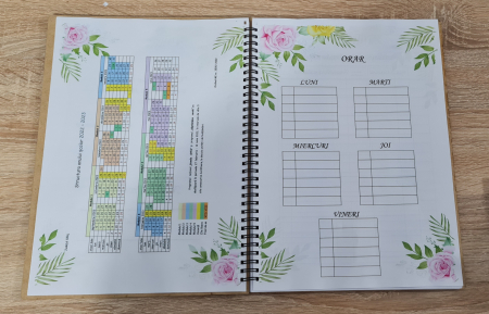 Agenda invatatorului M2 [2]