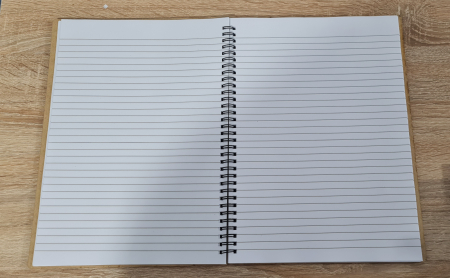 Agenda invatatorului M2 [5]