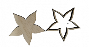Baza martisor licheni - floare [1]