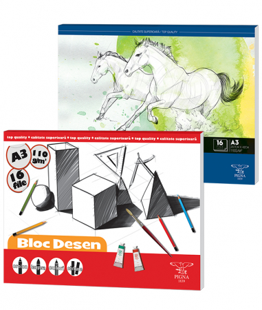 Grafica - Bloc desen A3, 16 file, 110g.