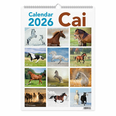 Calendare si Agende 2025 - Calendar perete 2026 Cai