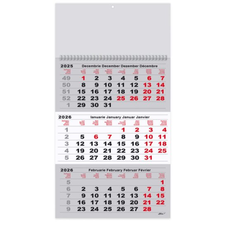 Calendare si Agende 2025 - Calendar triptic Gri