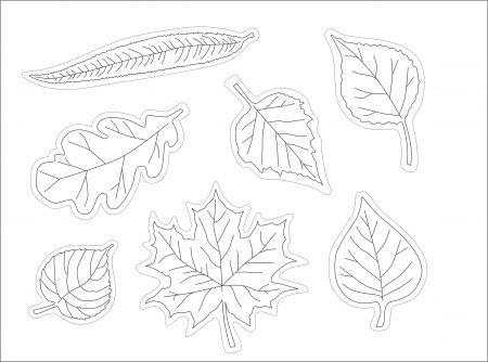 Accesorii Craft - Decoratiuni Creative dc010 Frunze Natur