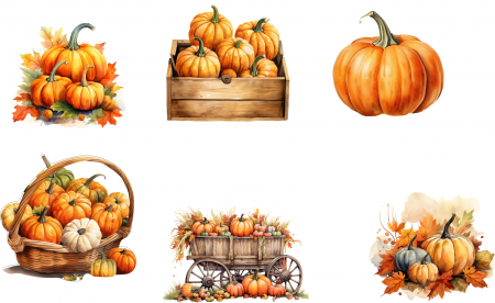 Accesorii Hobby, Craft - Decoratiuni Creative dc021 Dovlecei