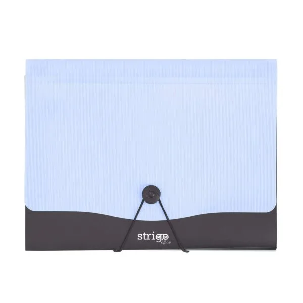 Folii protectie , mape, dosare - Mapa Strigo PP, A4, 13 compartimente, inchidere cu elastic, clips metalic