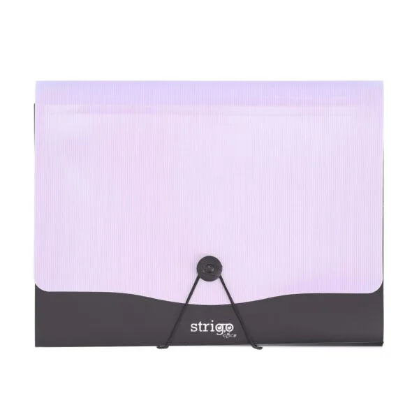 Mapa Strigo PP, A4, 13 compartimente, inchidere cu elastic, clips metalic [1]