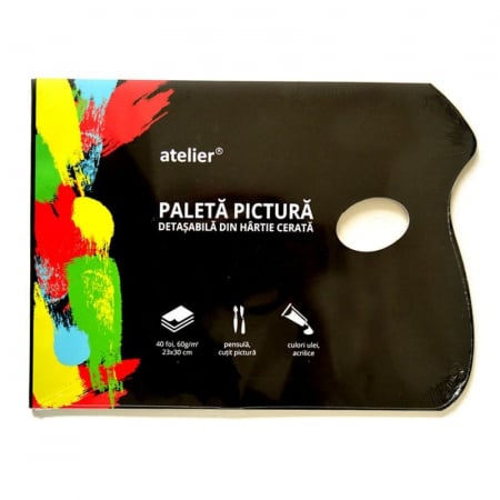 Palete - Paleta pictura hartie unica folosinta Atelier