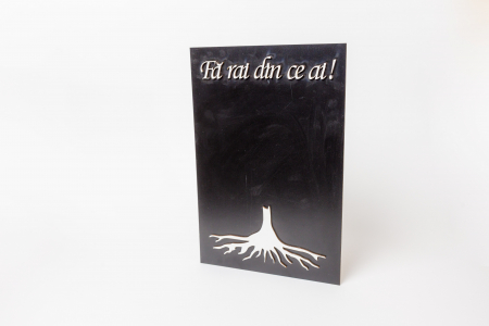 Placa Baza licheni Fa rai din ce ai ! 20x30 cm [1]
